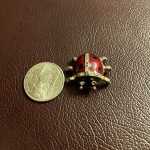 Lady bug Brooch. In color golden,black and red.